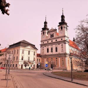 Katedrála svätého Jána Krstiteľa v Trnave